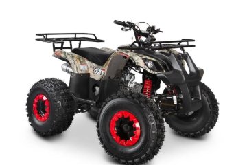Barton Force 125 quad raty transport